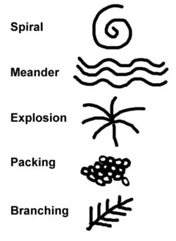 Patterns in Nature (adapted from Philip Ball and Jane Allison)